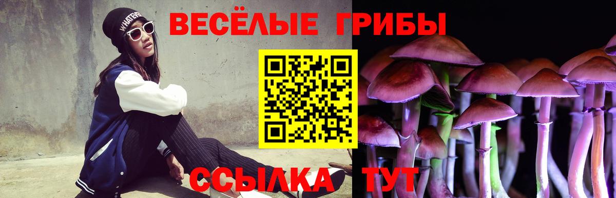 Кирово-Чепецк  Галлюциногенные грибы GOLDEN TEACHER  Вход с VPN 